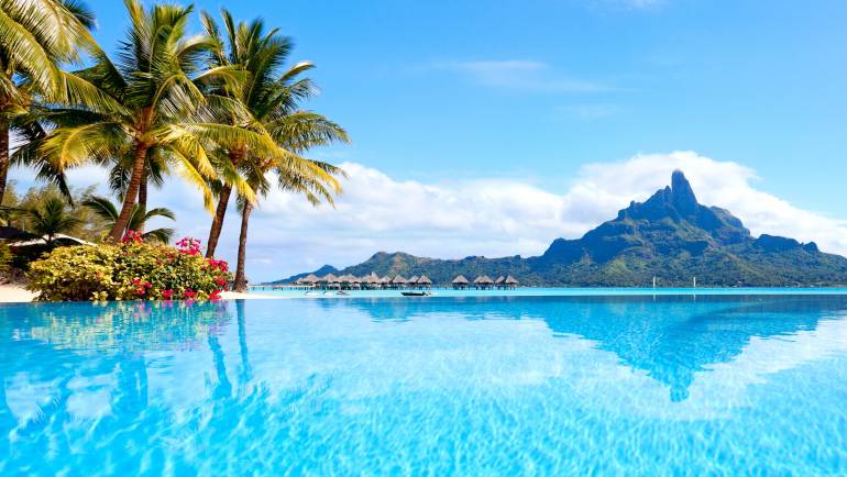 ECSTASY OF PARADISE